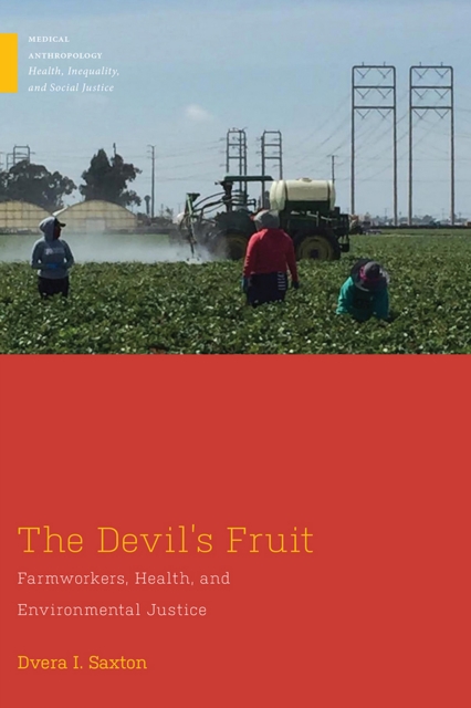The Devil's Fruit : Farmworkers, Health, and Environmental Justice, PDF eBook