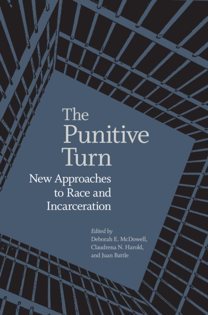 The Punitive Turn : New Approaches to Race and Incarceration, EPUB eBook