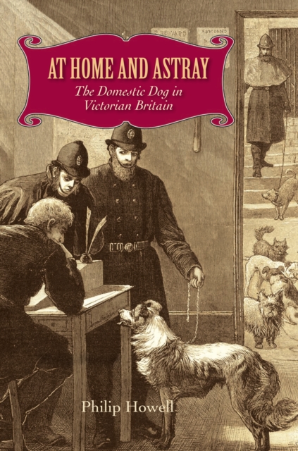 At Home and Astray : The Domestic Dog in Victorian Britain, EPUB eBook