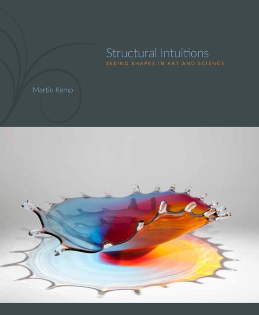 Structural Intuitions : Seeing Shapes in Art and Science, EPUB eBook