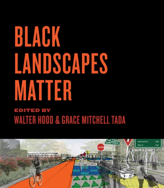 Black Landscapes Matter, EPUB eBook
