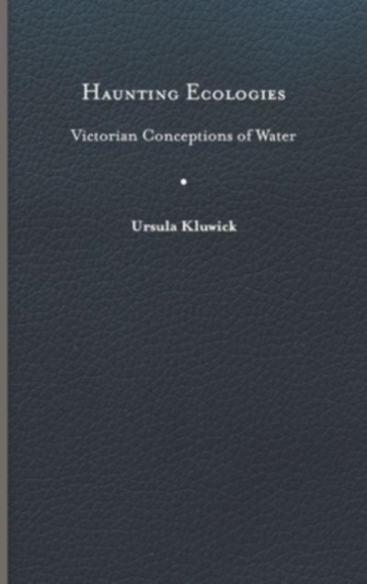 Haunting Ecologies : Victorian Conceptions of Water, Hardback Book