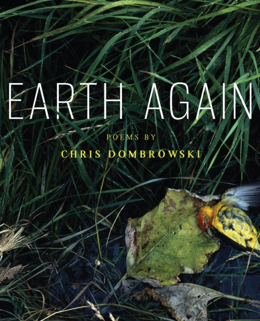 Earth Again, EPUB eBook