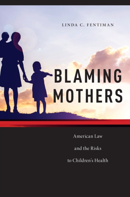 Blaming Mothers : American Law and the Risks to Children's Health, EPUB eBook