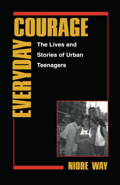 Everyday Courage : The Lives and Stories of Urban Teenagers, PDF eBook