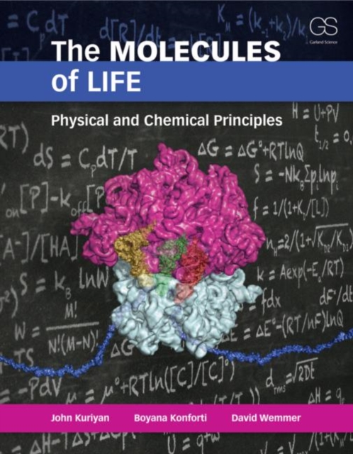 The Molecules of Life, Paperback / softback Book
