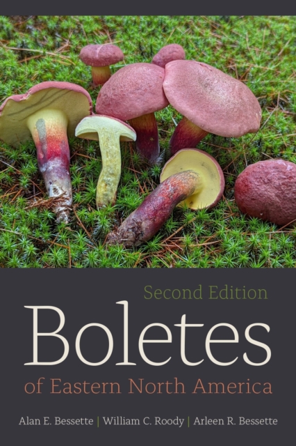 Boletes of Eastern North America, Paperback / softback Book