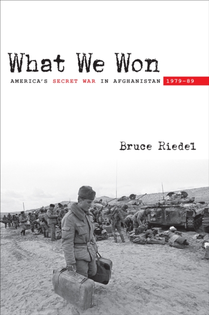 What We Won : America's Secret War in Afghanistan, 1979?89, EPUB eBook