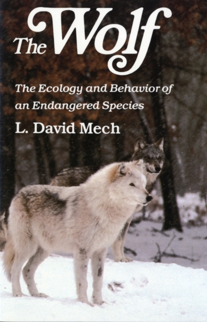 Wolf : The Ecology and Behavior of an Endangered Species, Paperback / softback Book