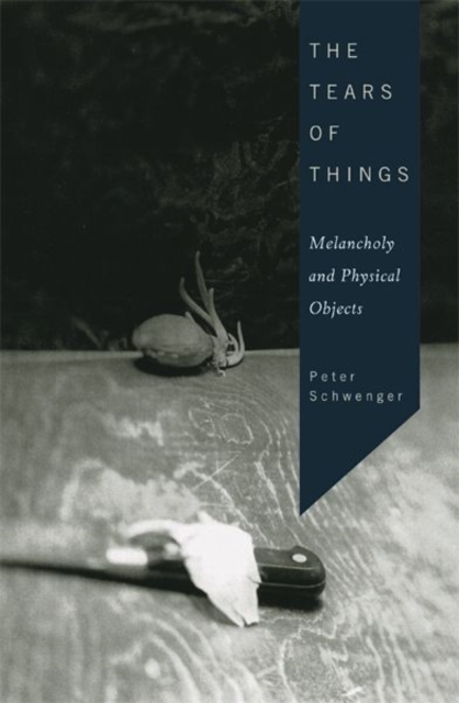 The Tears of Things : Melancholy and Physical Objects, Paperback / softback Book