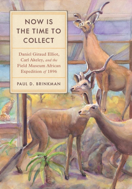Now Is the Time to Collect : Daniel Giraud Elliot, Carl Akeley, and the Field Museum Africa Expedition of 1896, Hardback Book