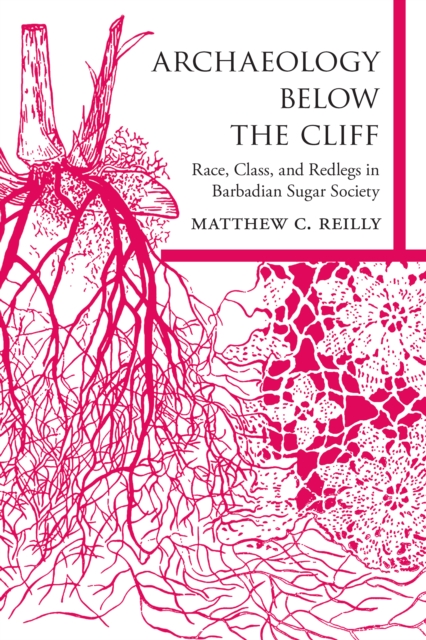 Archaeology below the Cliff : Race, Class, and Redlegs in Barbadian Sugar Society, EPUB eBook