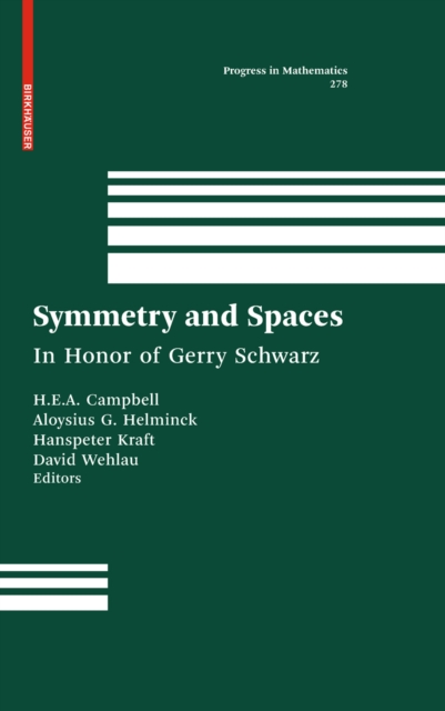 Symmetry and Spaces : In Honor of Gerry Schwarz, PDF eBook