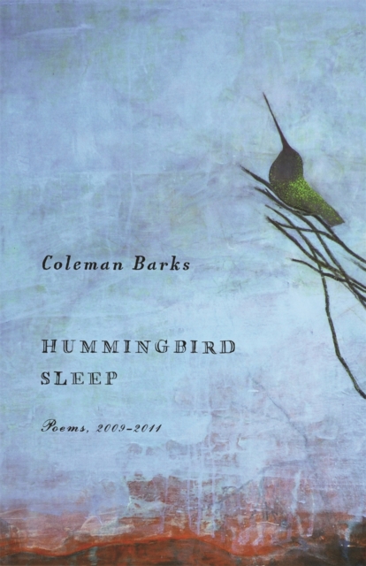 Hummingbird Sleep : Poems, 2009-2011, PDF eBook