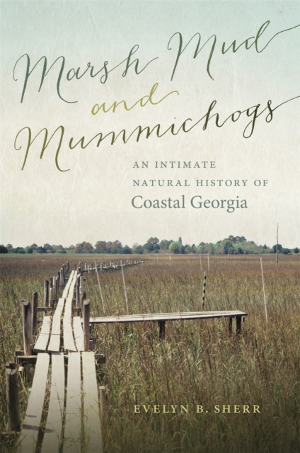 Marsh Mud and Mummichogs : An Intimate Natural History of Coastal Georgia, EPUB eBook