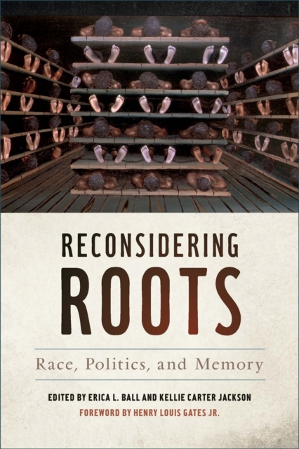 Reconsidering Roots : Race, Politics, and Memory, EPUB eBook