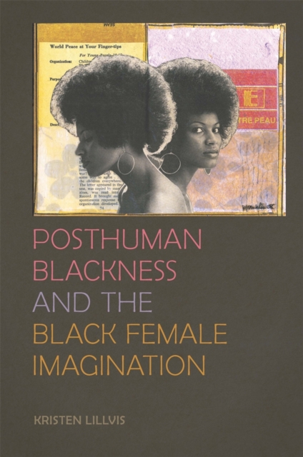 Posthuman Blackness and the Black Female Imagination, EPUB eBook