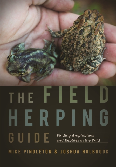The Field Herping Guide : Finding Amphibians and Reptiles in the Wild, Paperback / softback Book