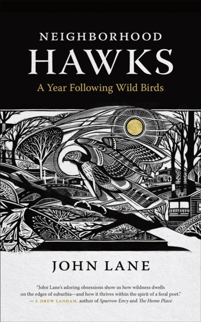 Neighborhood Hawks : A Year Following Wild Birds, EPUB eBook