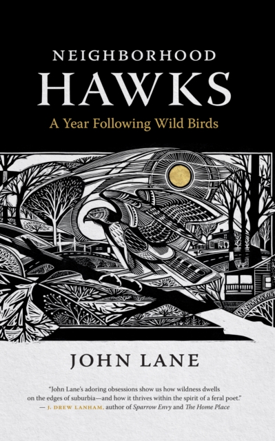 Neighborhood Hawks : A Year Following Wild Birds, EPUB eBook