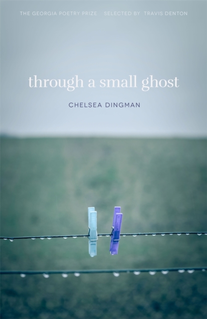Through a Small Ghost : Poems, EPUB eBook