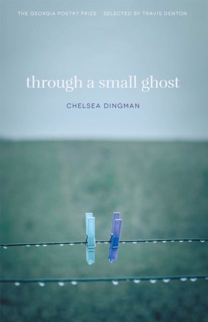 Through a Small Ghost : Poems, EPUB eBook