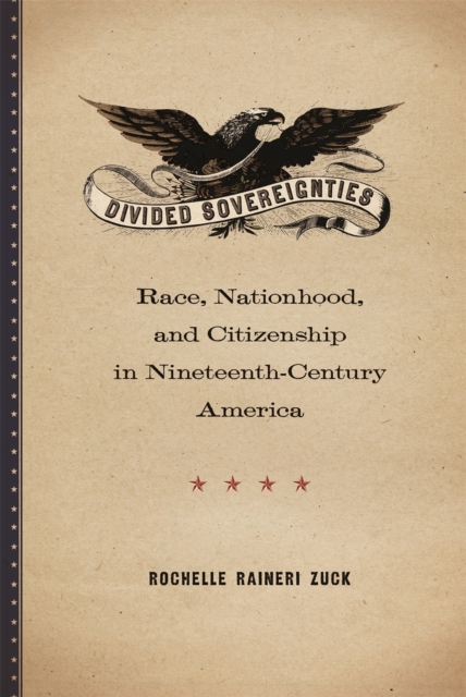 Divided Sovereignties : Race, Nationhood, and Citizenship in Nineteenth-Century America, Paperback / softback Book