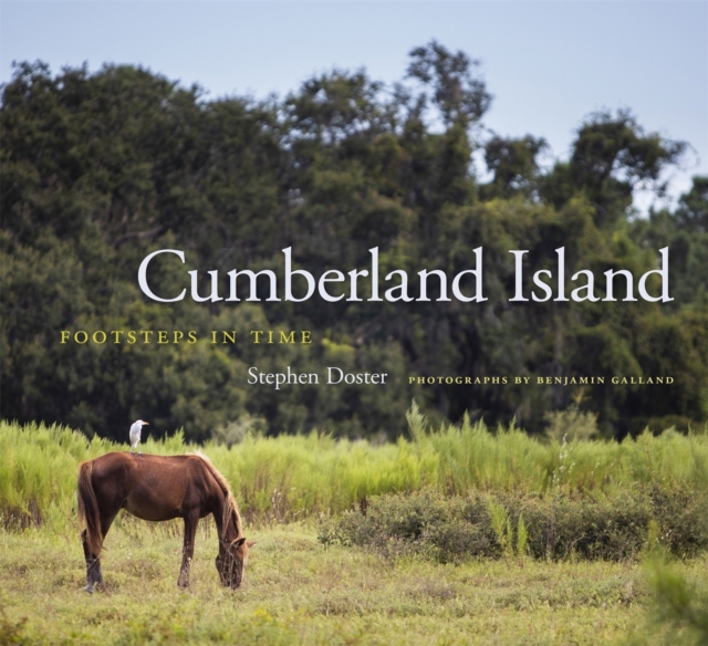 Cumberland Island : Footsteps in Time, Hardback Book