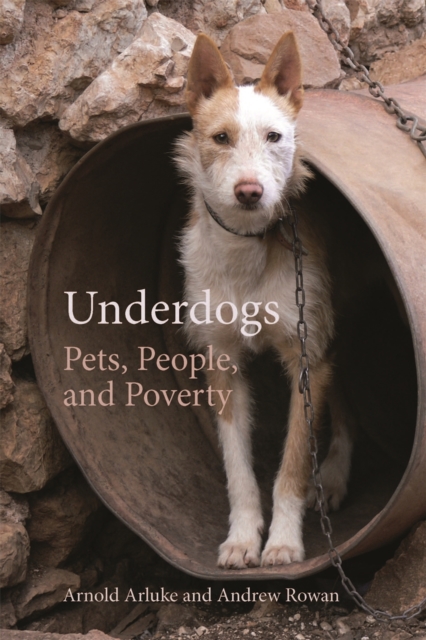 Underdogs : Pets, People, and Poverty, EPUB eBook