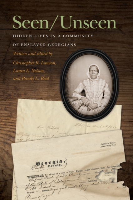 Seen/Unseen : Hidden Lives in a Community of Enslaved Georgians, EPUB eBook