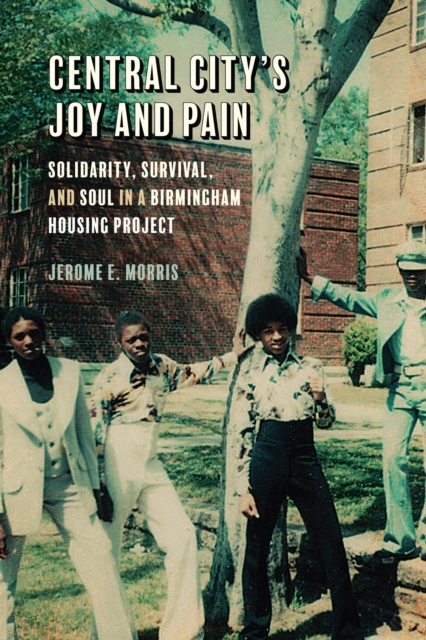 Central City's Joy and Pain : Solidarity, Survival, and Soul in a Birmingham Housing Project, PDF eBook