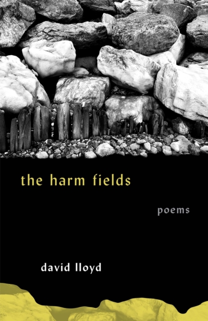 The Harm Fields : Poems, PDF eBook