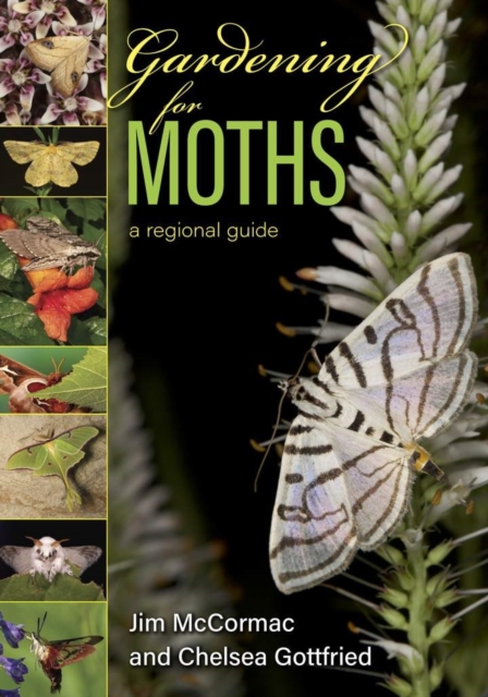 Gardening for Moths : A Regional Guide, EPUB eBook