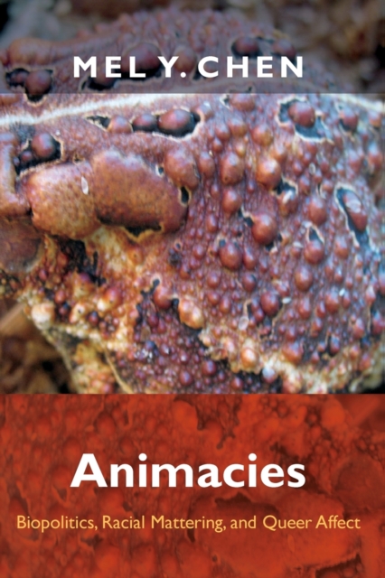 Animacies : Biopolitics, Racial Mattering, and Queer Affect, Paperback / softback Book