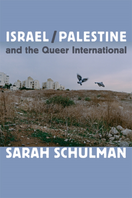 Israel/Palestine and the Queer International, Paperback / softback Book