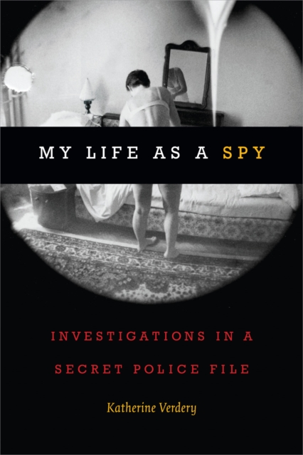 My Life as a Spy : Investigations in a Secret Police File, Paperback / softback Book