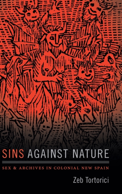 Sins against Nature : Sex and Archives in Colonial New Spain, Hardback Book
