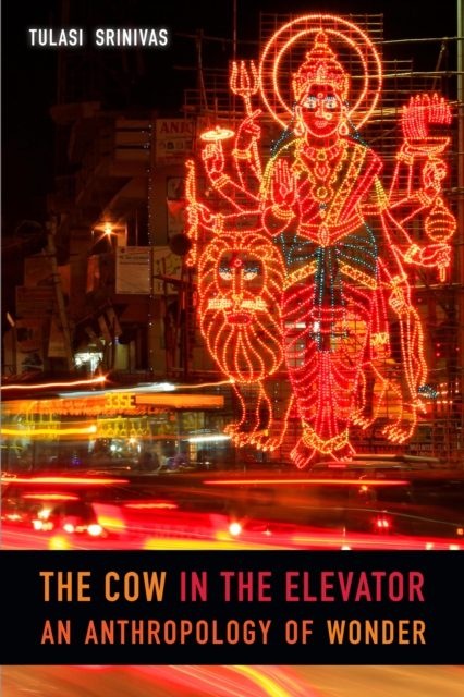 The Cow in the Elevator : An Anthropology of Wonder, PDF eBook