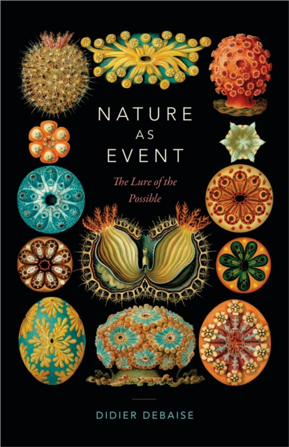 Nature as Event : The Lure of the Possible, PDF eBook