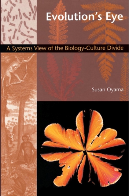 Evolution's Eye : A Systems View of the Biology-Culture Divide, PDF eBook
