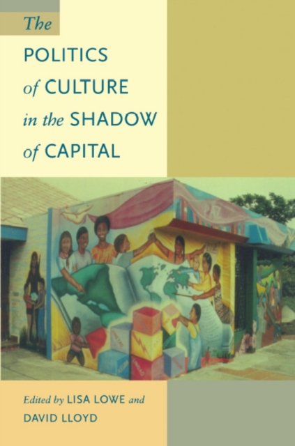 The Politics of Culture in the Shadow of Capital, PDF eBook