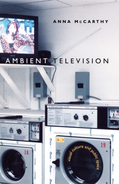 Ambient Television : Visual Culture and Public Space, PDF eBook
