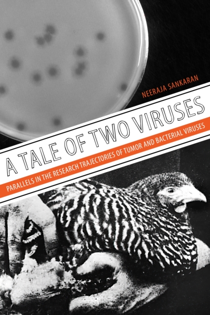 A Tale of Two Viruses : Parallels in the Research Trajectories of Tumor and Bacterial Viruses, EPUB eBook