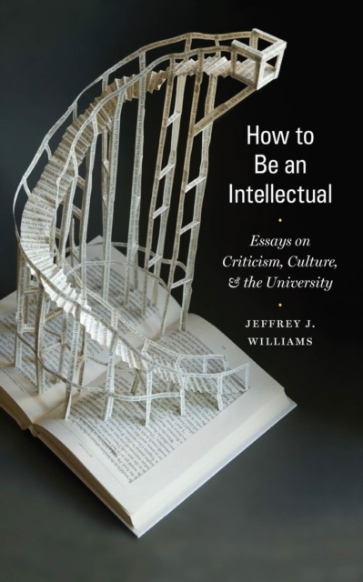 How to Be an Intellectual : Essays on Criticism, Culture, and the University, EPUB eBook