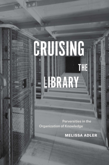 Cruising the Library : Perversities in the Organization of Knowledge, EPUB eBook