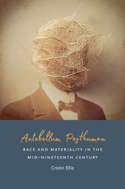 Antebellum Posthuman : Race and Materiality in the Mid-Nineteenth Century, PDF eBook