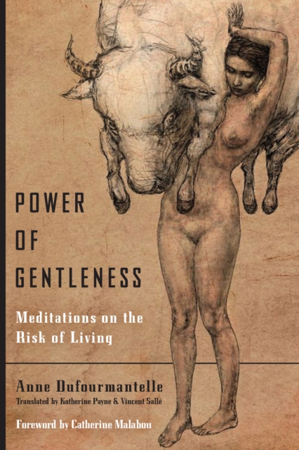 Power of Gentleness : Meditations on the Risk of Living, Paperback / softback Book