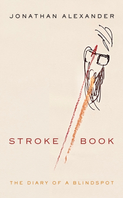 Stroke Book : The Diary of a Blindspot, EPUB eBook