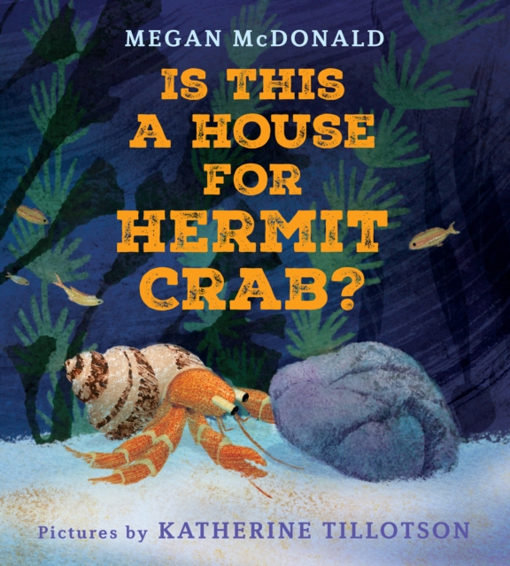 Is This a House for Hermit Crab?, Hardback Book