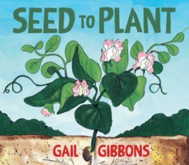 Seed to Plant, Board book Book
